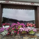 Iva & Elena Hotel 3*