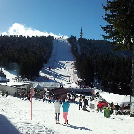 Szálloda Iva & Elena 3*