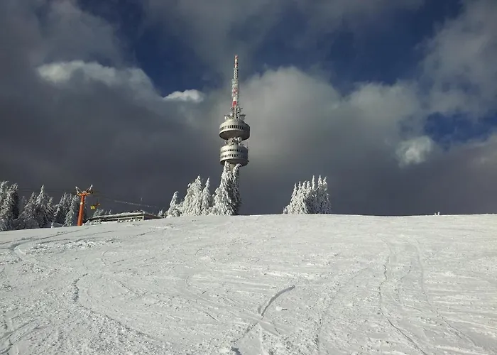 Iva & Elena Hotel 3*