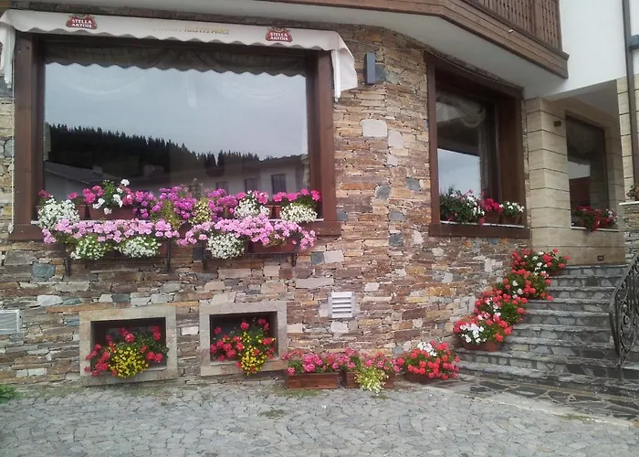 Hotel Iva & Elena 3*